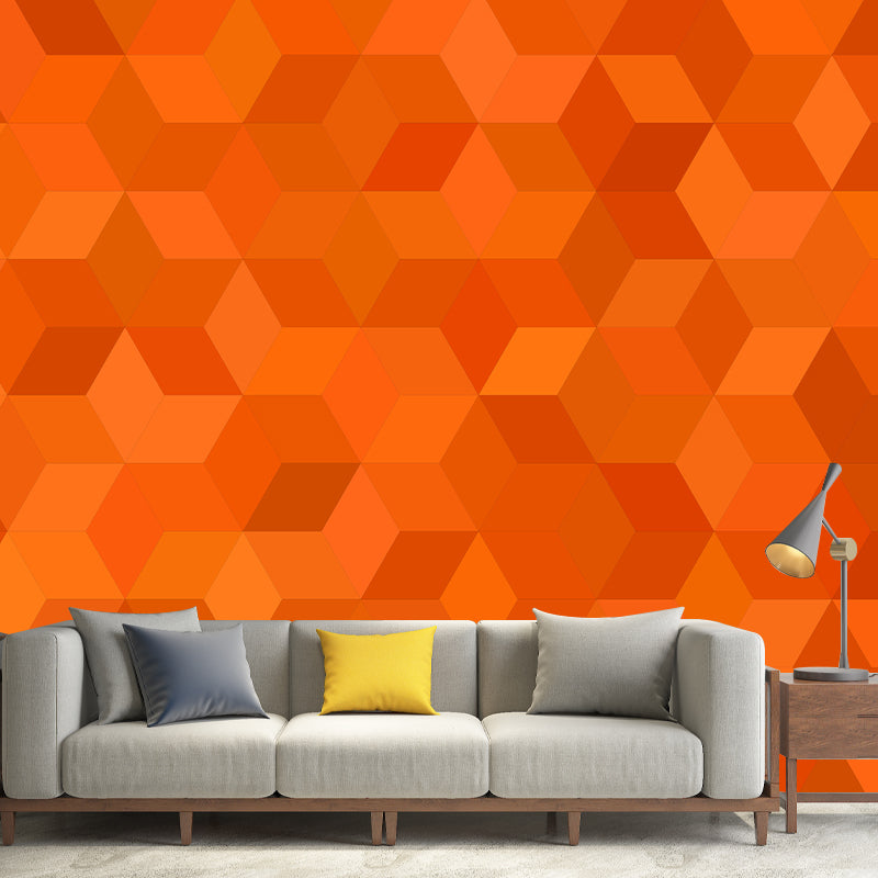 Geometric Pattern Illustration Wall Murals Modern Style for Living Room