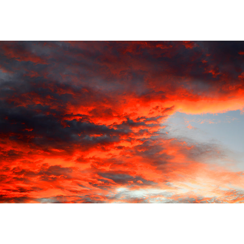 View of Clouds Mural Soft Color Stain Resistant Wall Art for Living Room