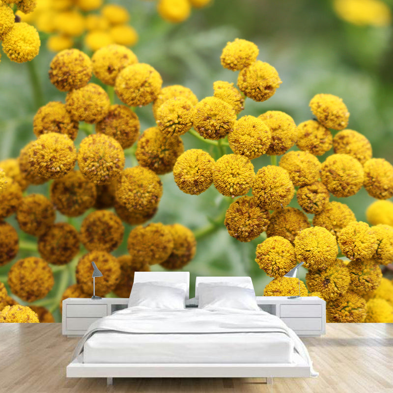 Tansy Flower Wall Covering for Girls' Bedroom Water Resistant Wall Decor
