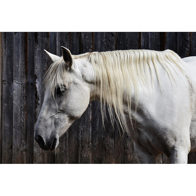 Environment Friendly Mural with White Horse Painting Mildew Resistant Wallpaper Home Decor