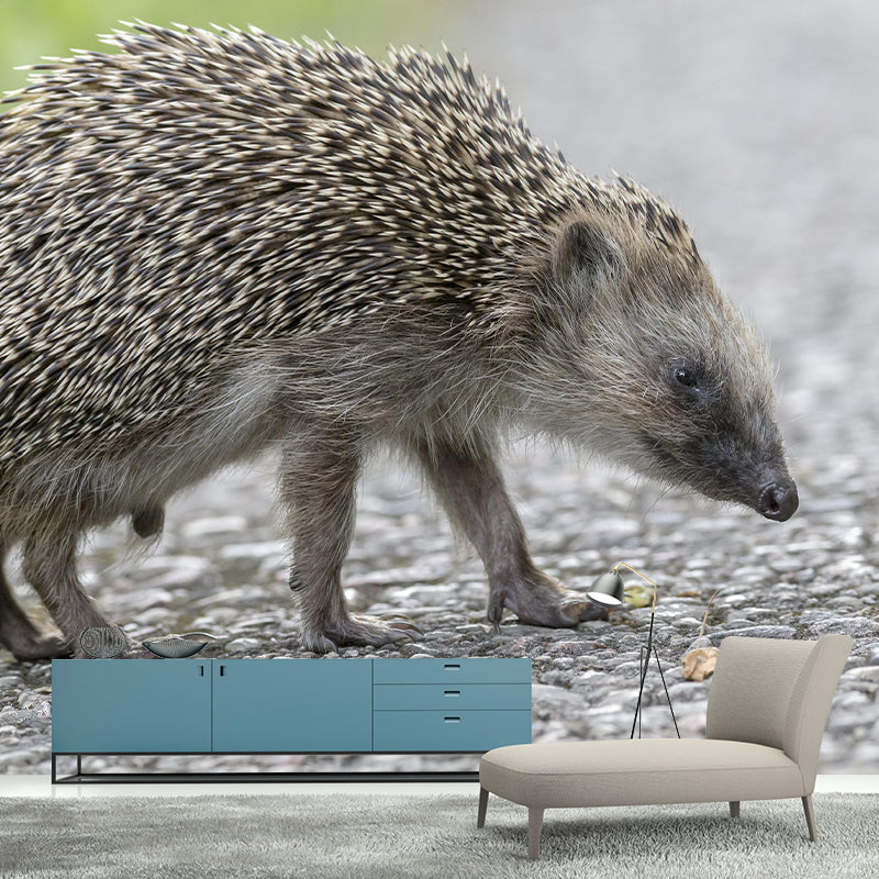 Customized Hedgehog Wall Mural Wallpaper Horizontal Photography for Sitting Room