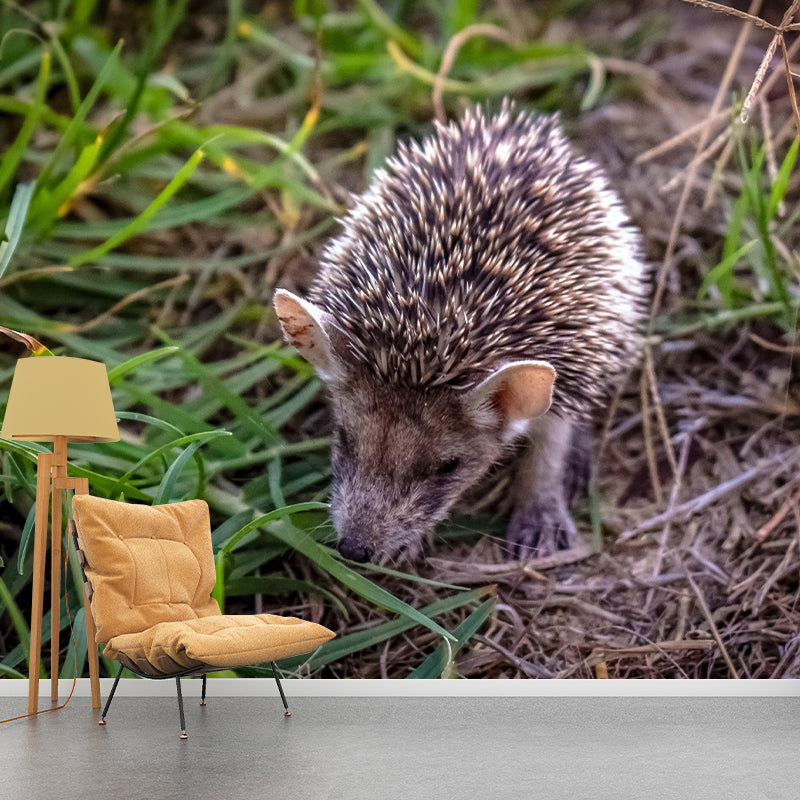 Customized Hedgehog Wall Mural Wallpaper Horizontal Photography for Sitting Room