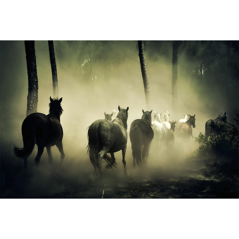 Customized Horse Wall Mural Wallpaper Horizontal Photography for Sitting Room