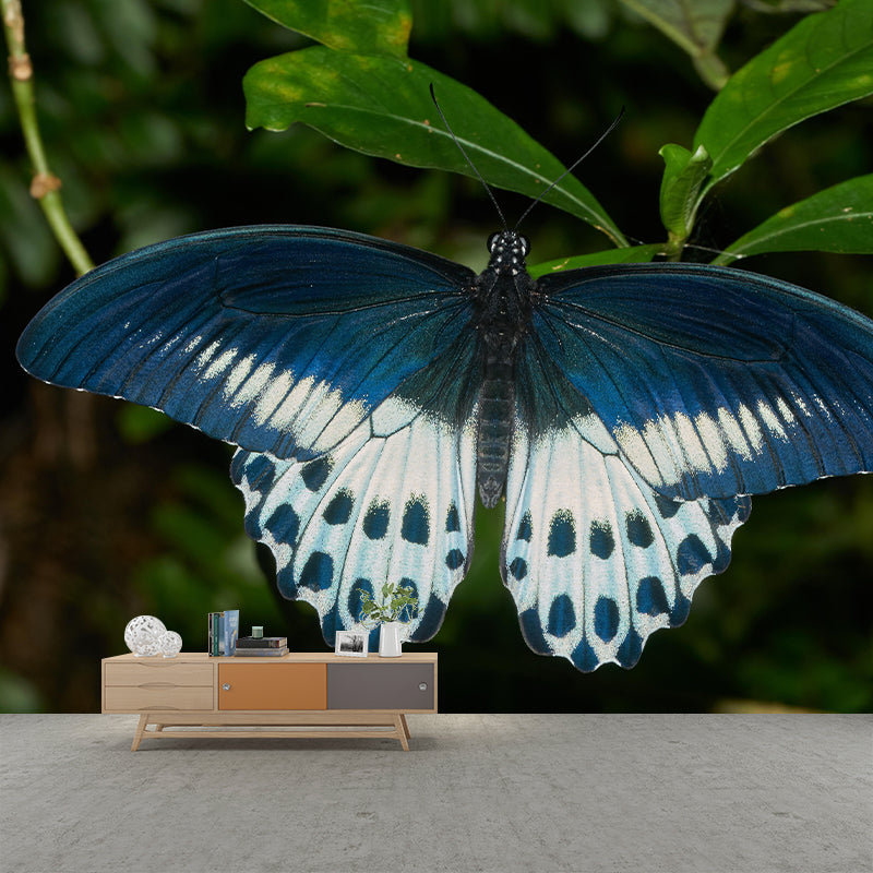 Customized Butterfly Wall Mural Wallpaper Horizontal Photography for Bedroom