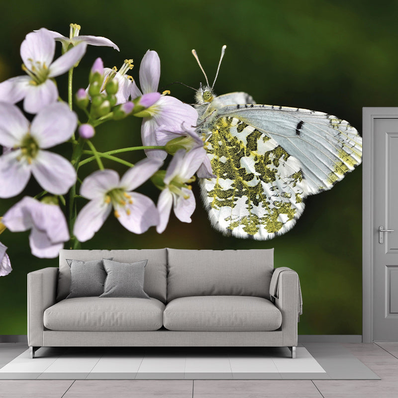 Environment Friendly Mural with Butterfly Painting Mildew Resistant Wallpaper Home Decor