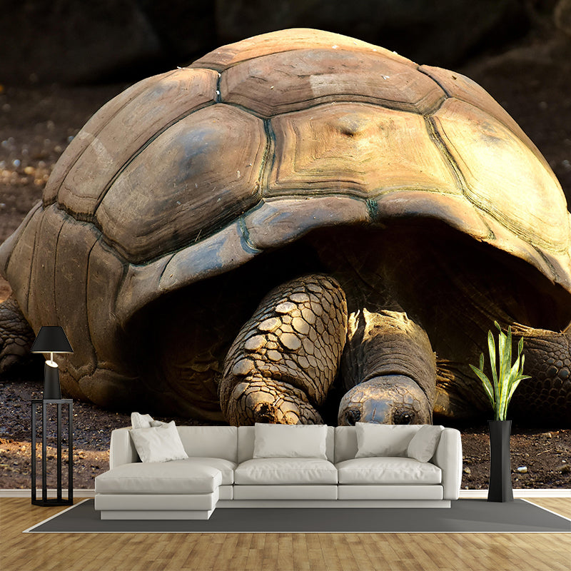 Customized Giant Tortoise Wall Mural Wallpaper Horizontal Photography for Sitting Room