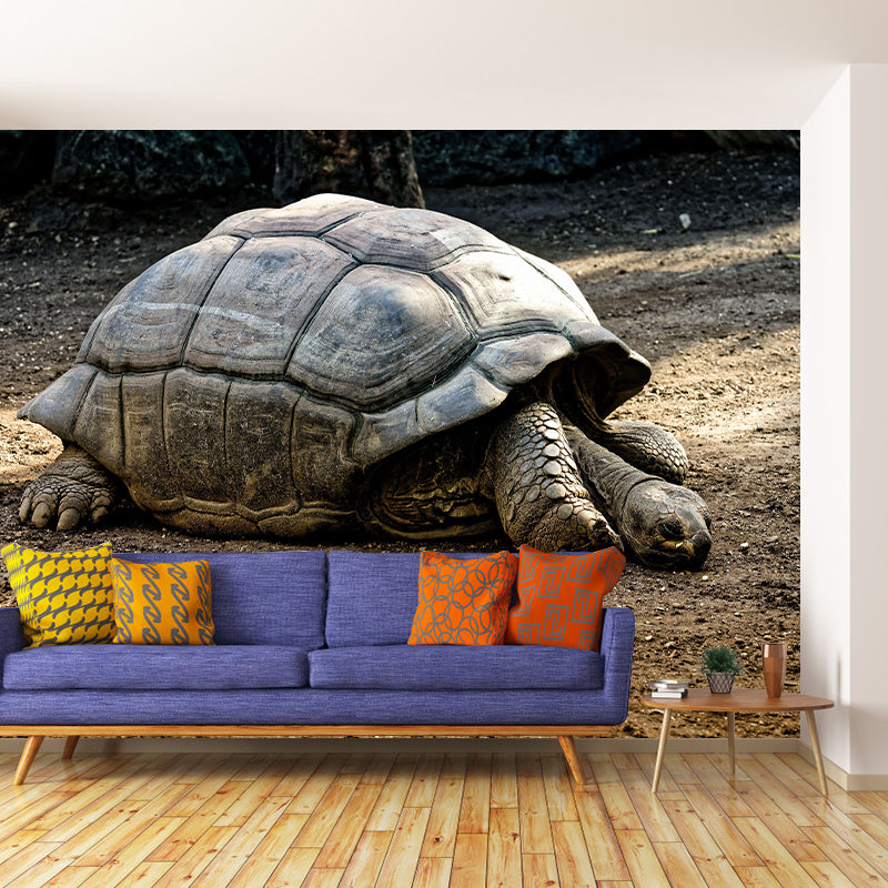 Customized Giant Tortoise Wall Mural Wallpaper Horizontal Photography for Sitting Room