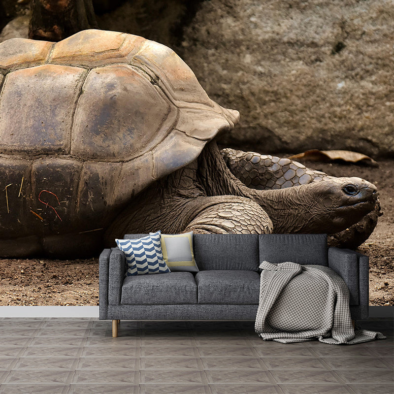 Customized Giant Tortoise Wall Mural Wallpaper Horizontal Photography for Sitting Room