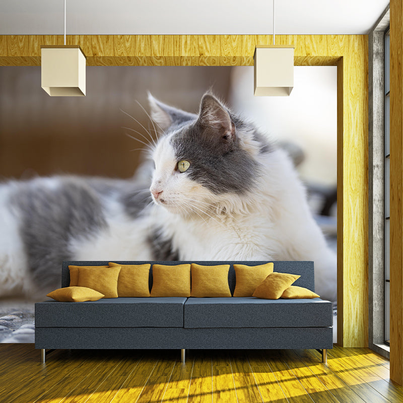 Customized Cat Wall Mural Wallpaper Horizontal Photography for Sitting Room
