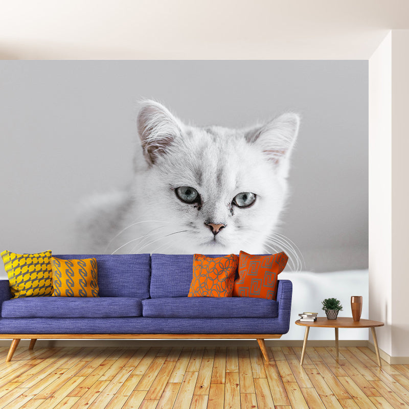 Customized Cat Wall Mural Wallpaper Horizontal Photography for Sitting Room