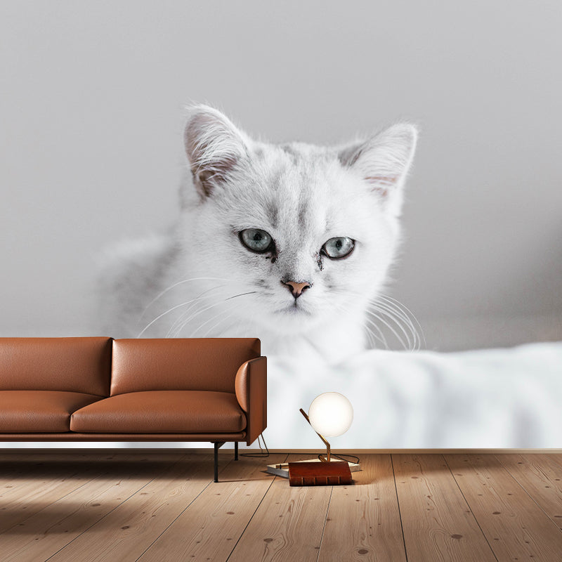 Customized Cat Wall Mural Wallpaper Horizontal Photography for Sitting Room