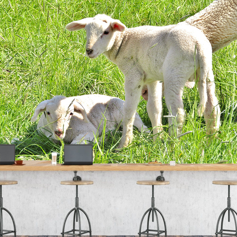 Lovely Animal Sheep Mural Decal Customized Contemporary Style Wall Covering