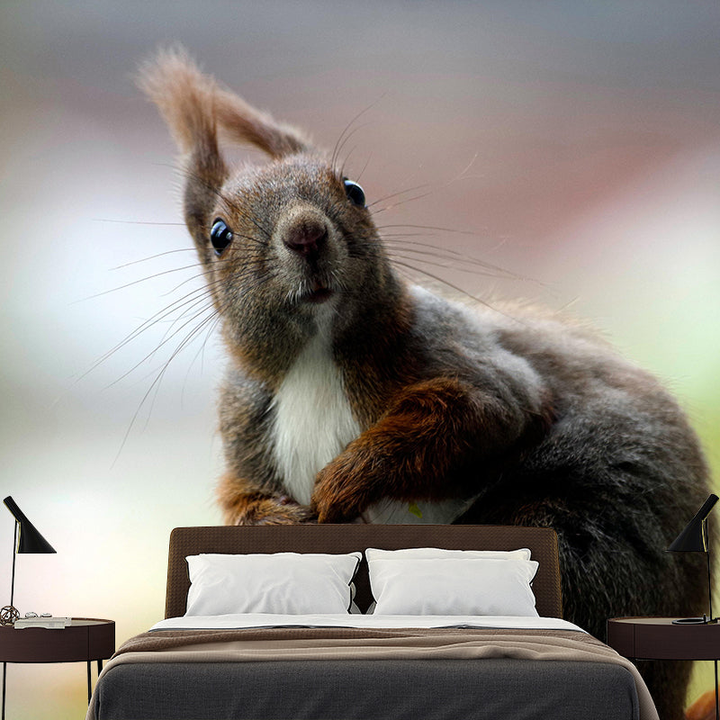 Customized Squirrel Wall Mural Wallpaper Horizontal Photography for Sitting Room