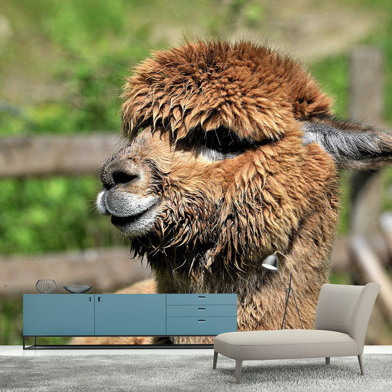 Customized Alpaca Wall Mural Wallpaper Horizontal Photography for Sitting Room