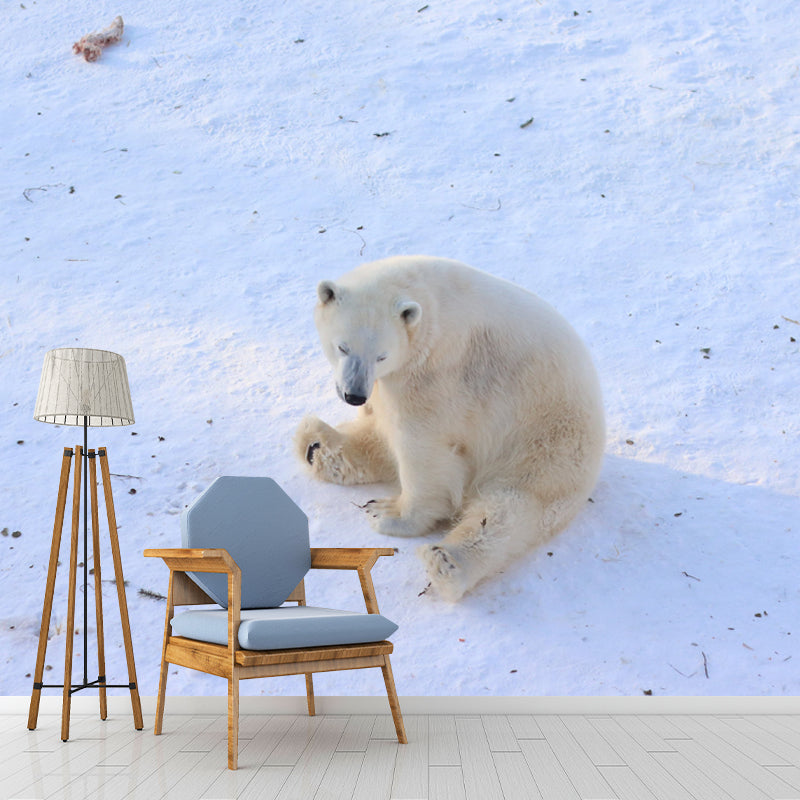 Polar Bear Mural Wallpaper for Accent Wall, Personalized Size Available