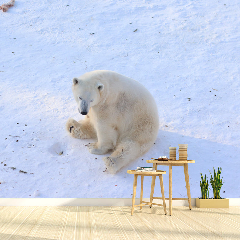 Polar Bear Mural Wallpaper for Accent Wall, Personalized Size Available