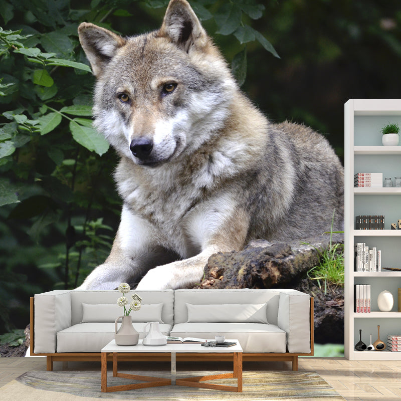 Wolf Animal Mural Wallpaper for Living Room Bedroom, Custom Size Available