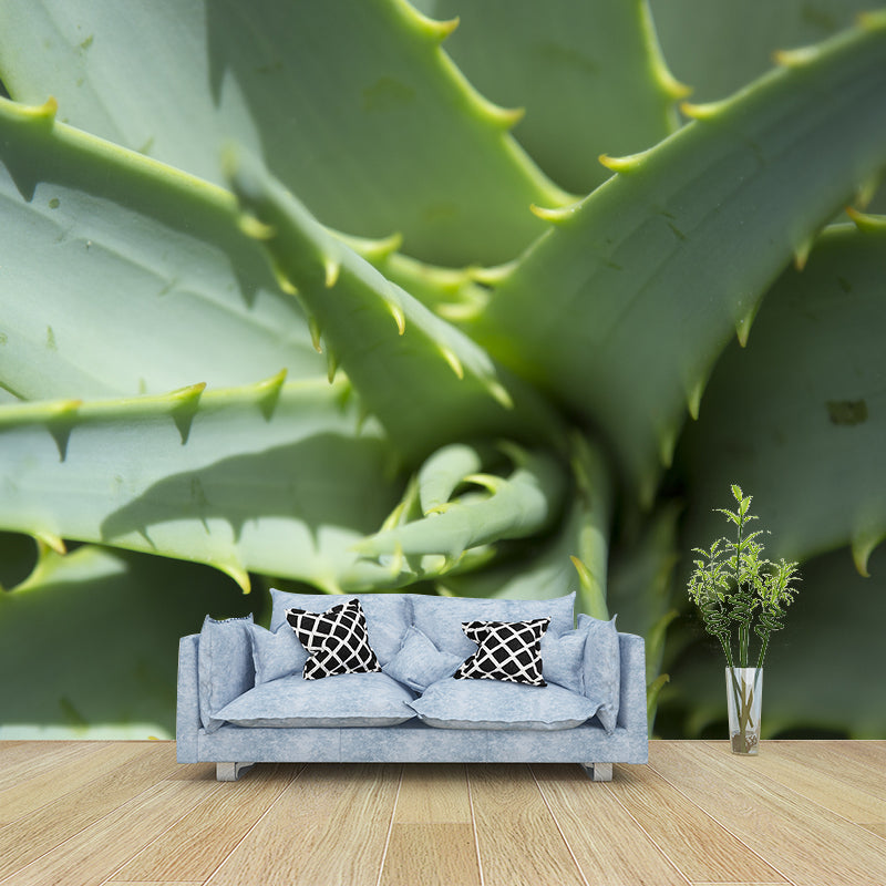 Aloe Plant Mural Wallpaper for Reading Room Bedroom, Custom Size Available