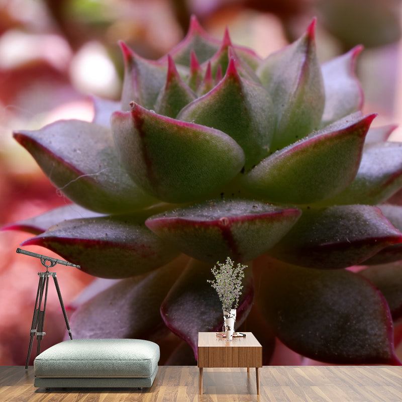 Aloe Plant Mural Wallpaper for Reading Room Bedroom, Custom Size Available