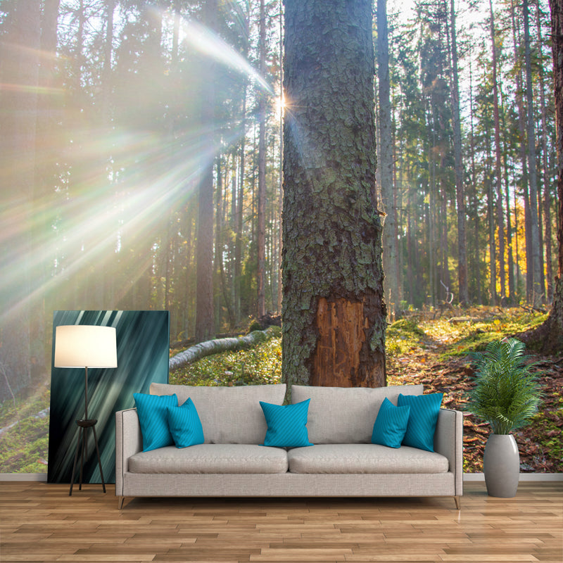 Peinture murale forestière pour chambre d’amis, décoration murale résistante à l’eau de couleur claire