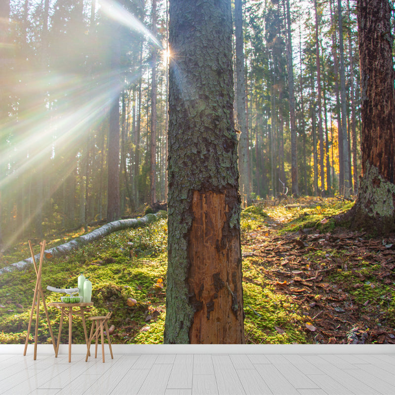 Forest Mural for Guest Room, Water Resistant Wall Decor in Light Color