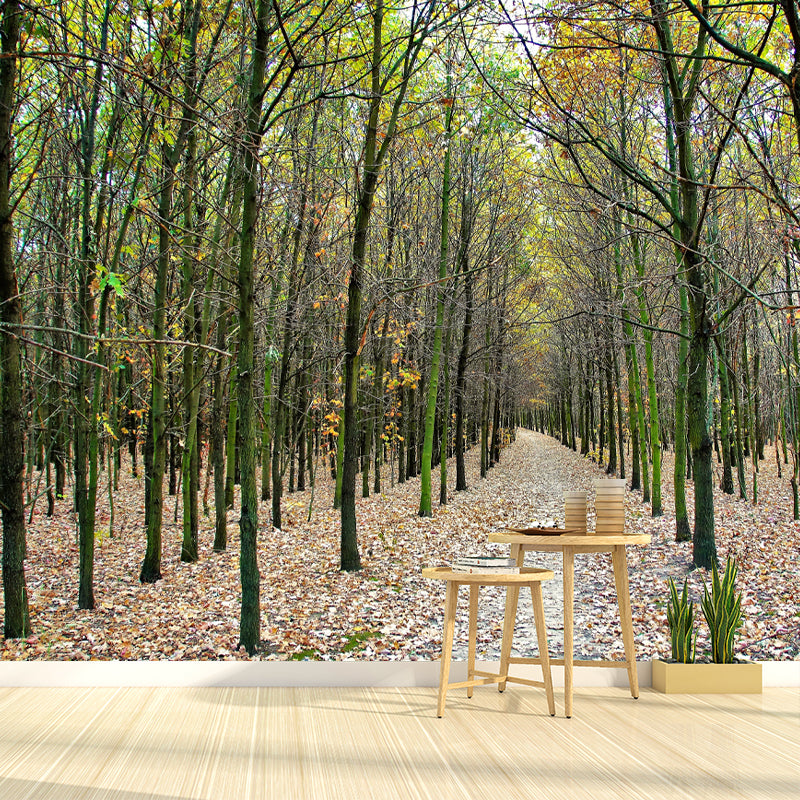 Forest Trees Wall Covering for Dining Room Wall Decor, Moisture Resistant