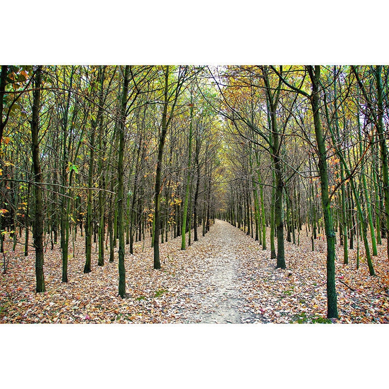 Forest Trees Wall Covering for Dining Room Wall Decor, Moisture Resistant