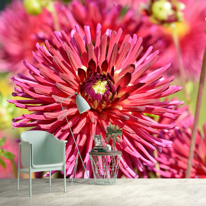 Dahlia Modern Mural Wallpaper Water Resistant Wall Art for Coffee Shop