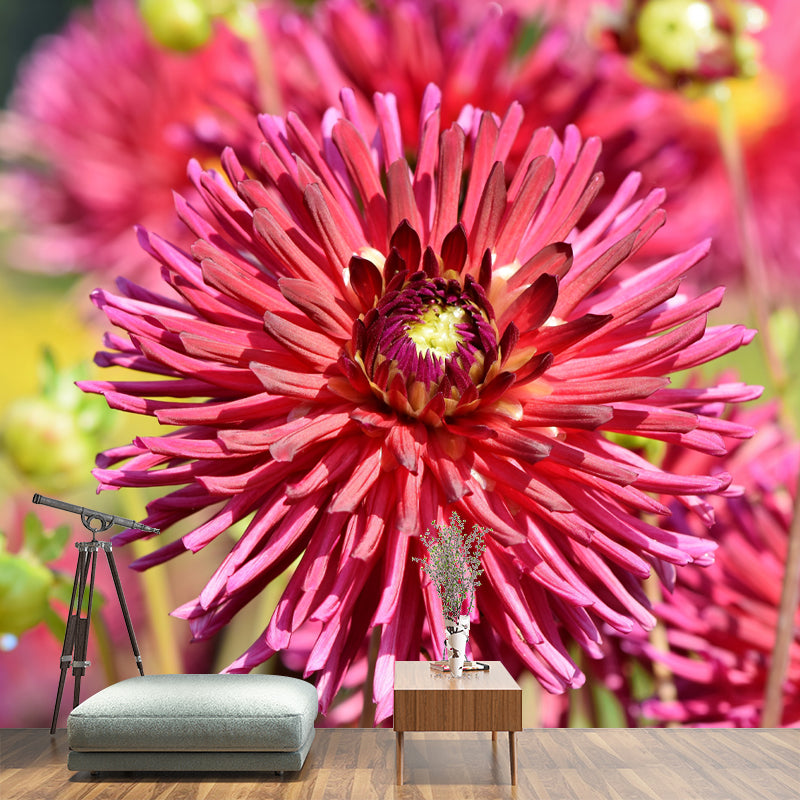 Dahlia Modern Mural Wallpaper Water Resistant Wall Art for Coffee Shop