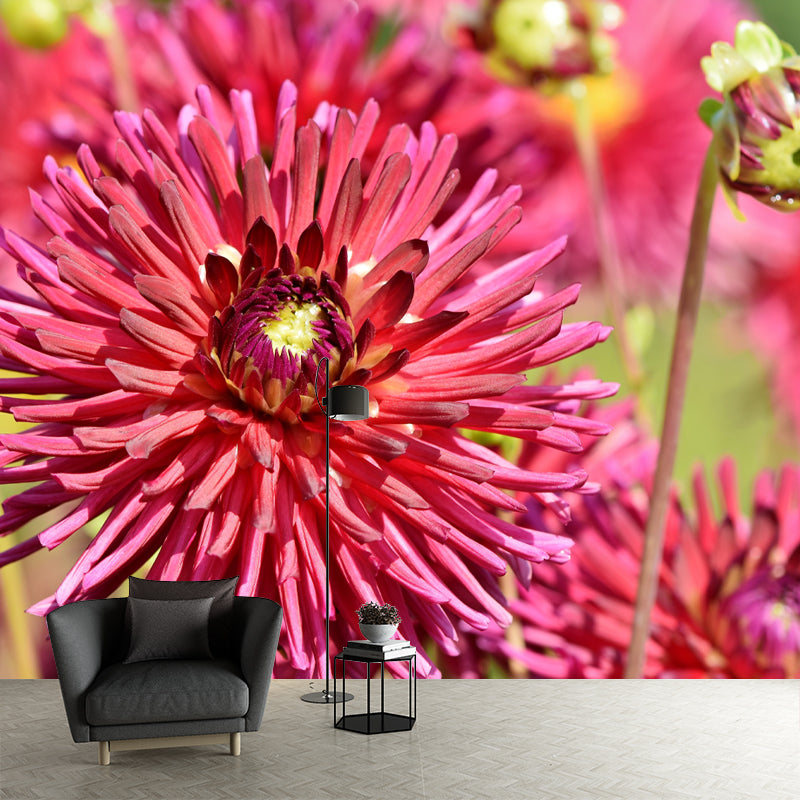 Dahlia Modern Mural Wallpaper Water Resistant Wall Art for Coffee Shop