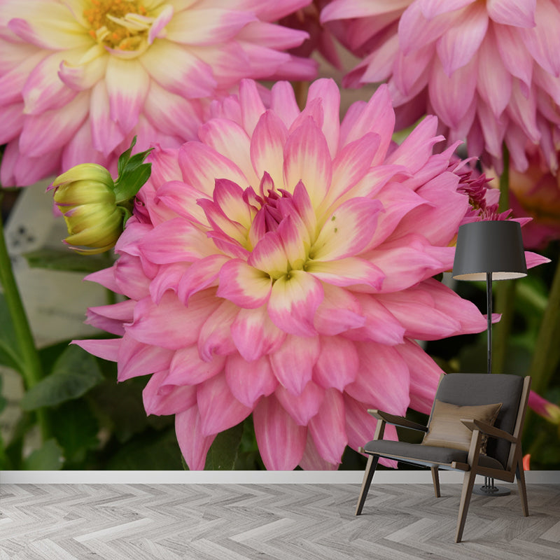 Dahlia Modern Mural Wallpaper Water Resistant Wall Art for Coffee Shop