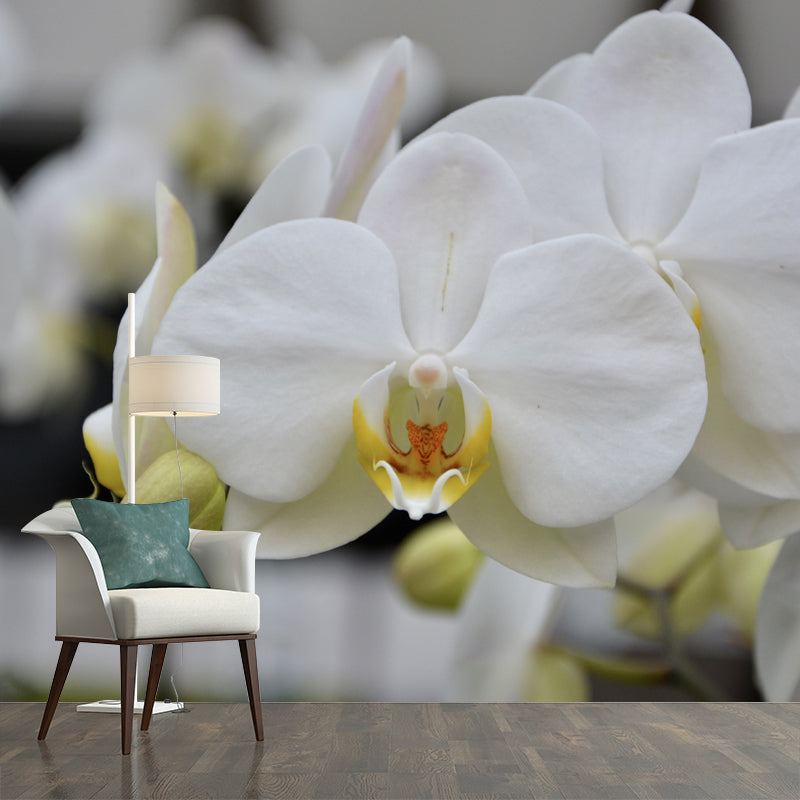 Beautiful Orchid Mural Stain Resistant Wall Covering for Sleeping Room
