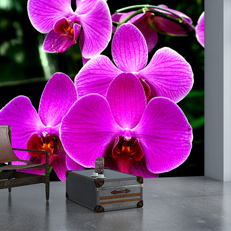 Beautiful Orchid Mural Stain Resistant Wall Covering for Sleeping Room
