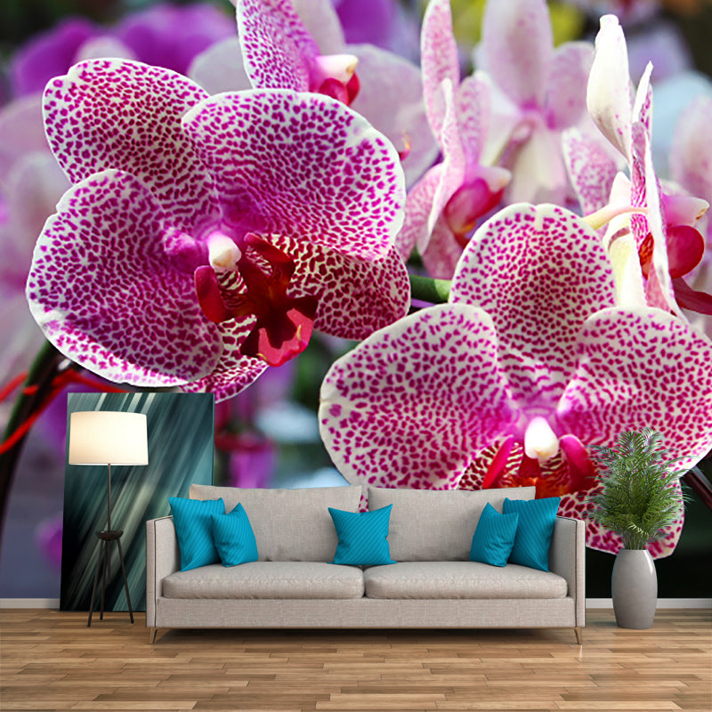 Beautiful Orchid Mural Stain Resistant Wall Covering for Sleeping Room