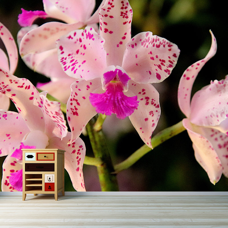 Beautiful Orchid Mural Stain Resistant Wall Covering for Sleeping Room