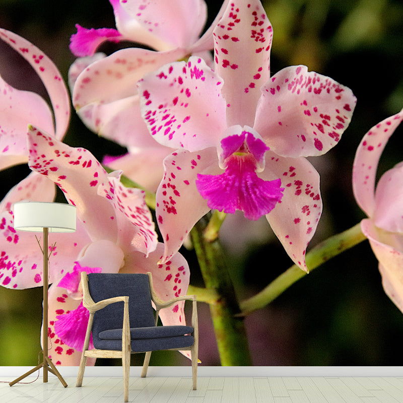Beautiful Orchid Mural Stain Resistant Wall Covering for Sleeping Room