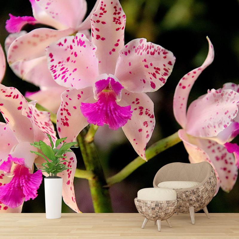 Beautiful Orchid Mural Stain Resistant Wall Covering for Sleeping Room
