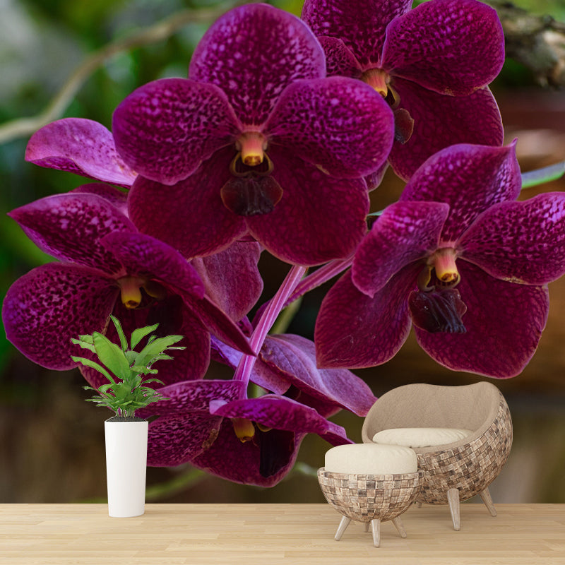 Girl's Bedroom Orchid Mural Personalized Size Minimalist Wall Decor, Personalized Size