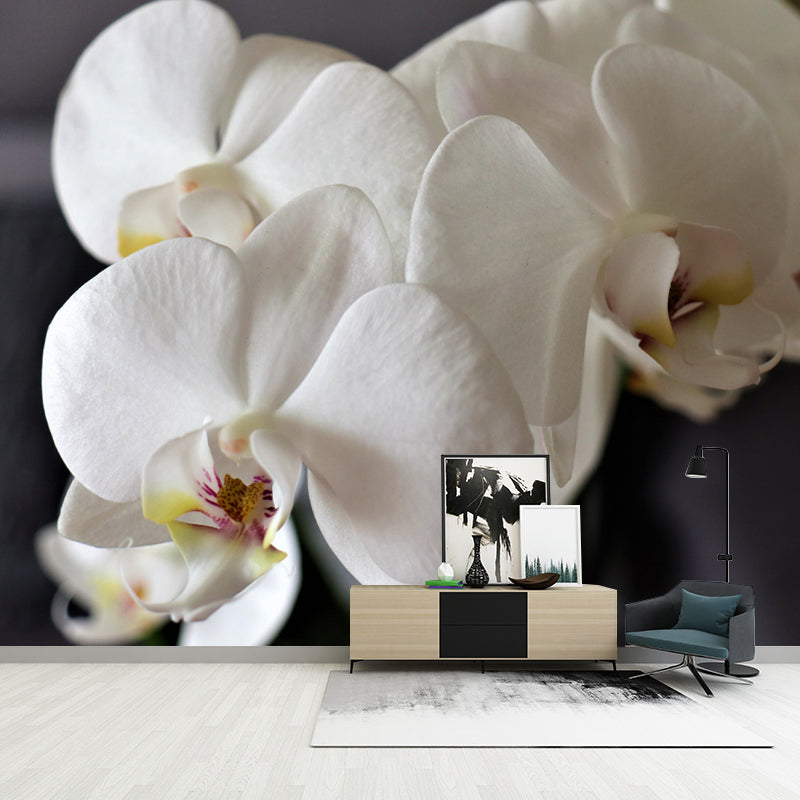 Girl's Bedroom Orchid Mural Personalized Size Minimalist Wall Decor, Personalized Size