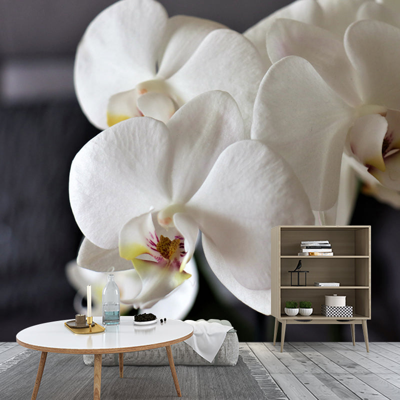 Girl's Bedroom Orchid Mural Personalized Size Minimalist Wall Decor, Personalized Size