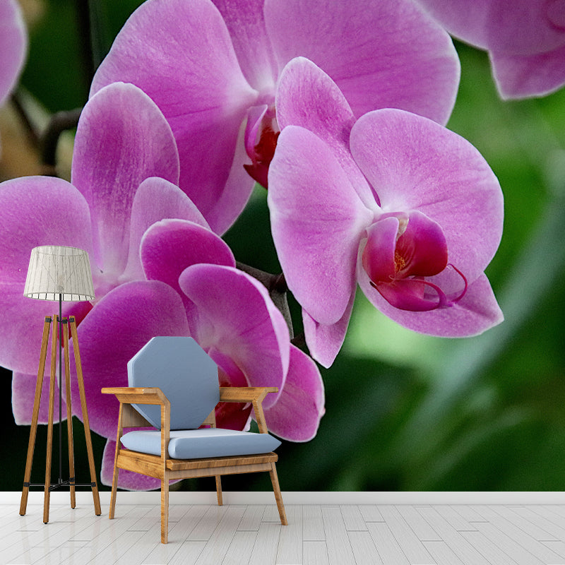 Girl's Bedroom Orchid Mural Personalized Size Minimalist Wall Decor, Personalized Size
