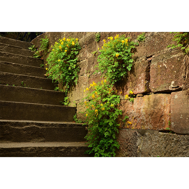 Stairs Architecture Photography Mural Wallpaper Stain Resistant for Room