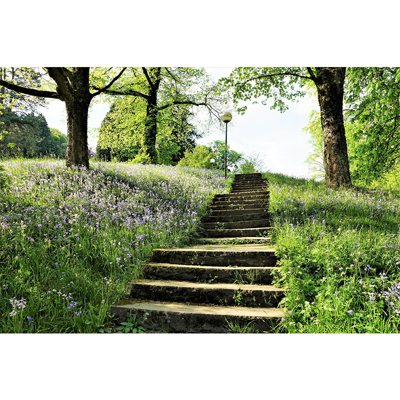 Photography Stairs Architecture Mural Wallpaper Stain Resistant for Bedroom