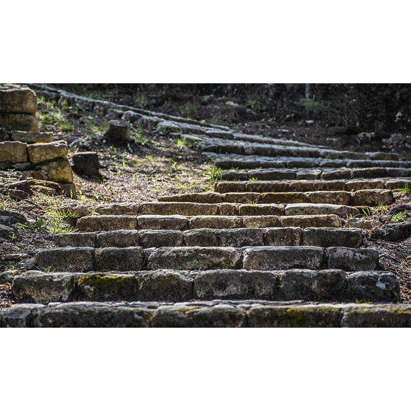 Stairs Architecture Mural Wallpaper Stain Resistant Wall Decor for Adult Room