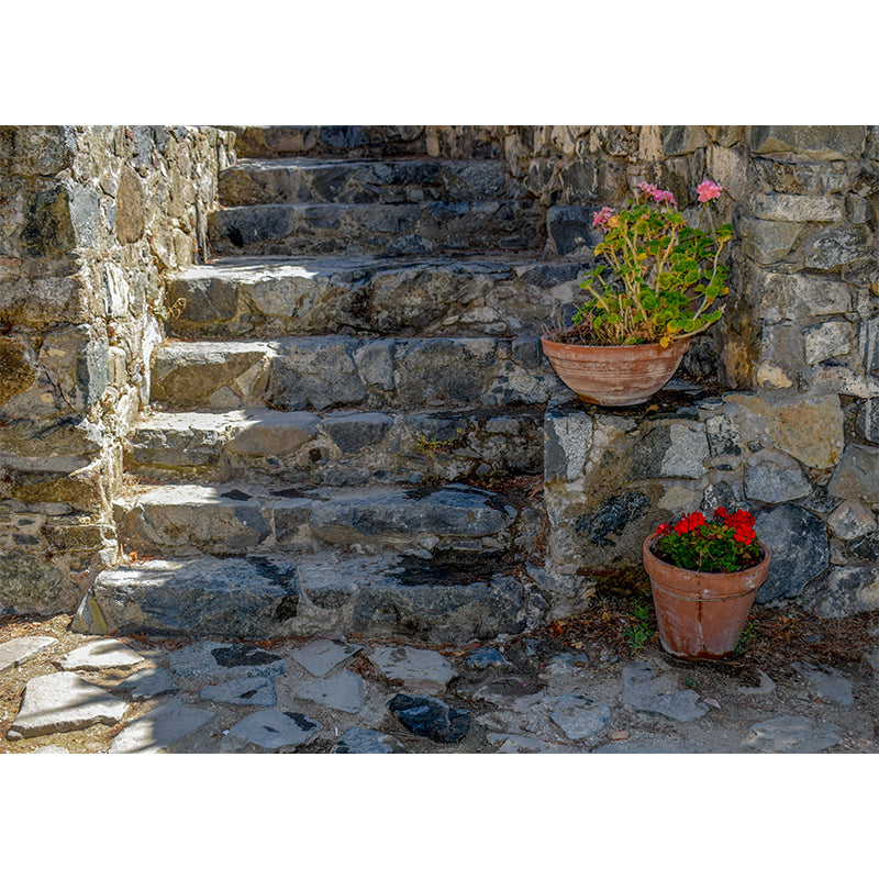 Contemporary Stairs Architecture Mural Wallpaper Stain Resistant for Decoration