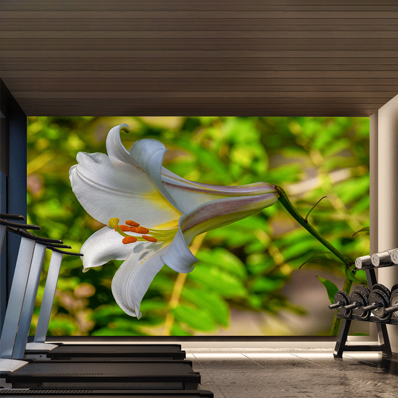 Customized Lily Mural Wall Covering Eco-friendly Wallpaper for Bedroom