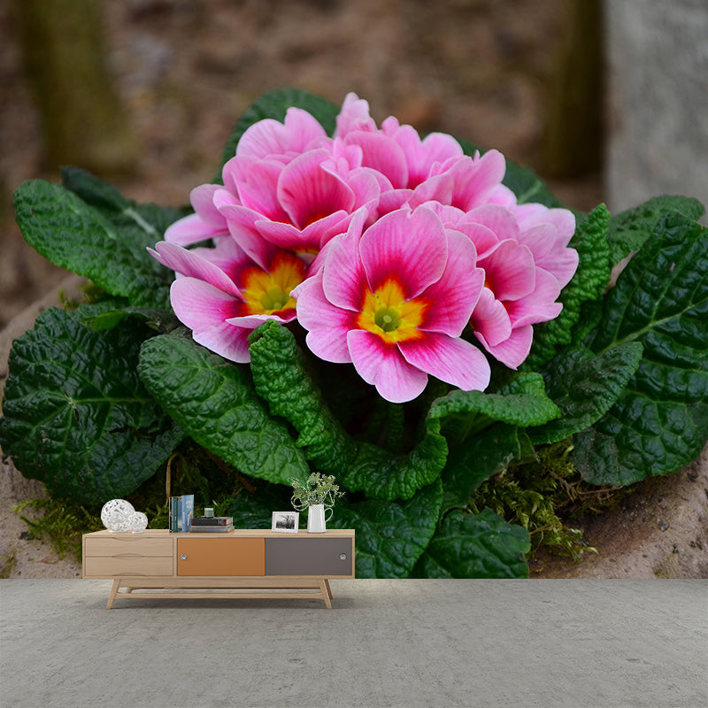 Customized Primrose Mural Wall Covering Eco-friendly Wallpaper for Bedroom