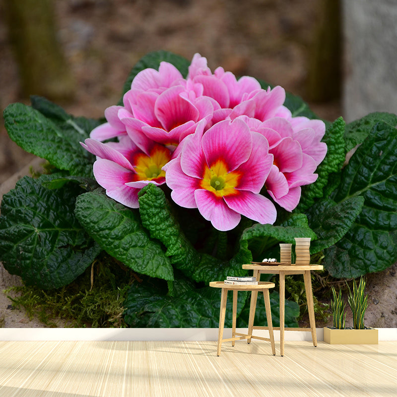 Customized Primrose Mural Wall Covering Eco-friendly Wallpaper for Bedroom