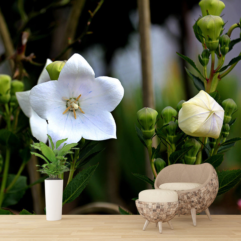 Customized Bluebell Mural Wall Covering Eco-friendly Wallpaper for Bedroom