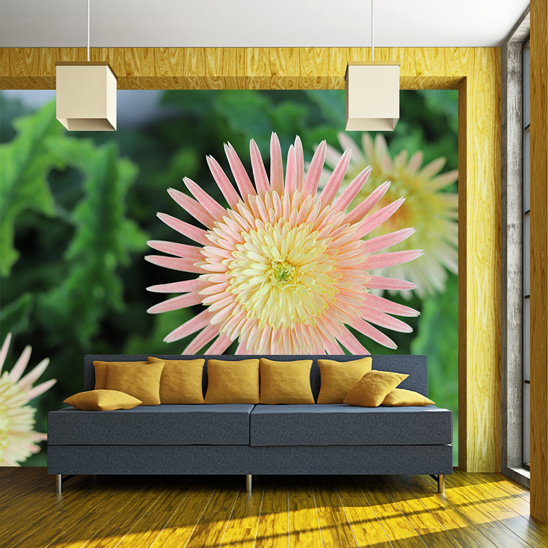 Minimalism Style Flower Wall Mural Decorative Photography for Living Room